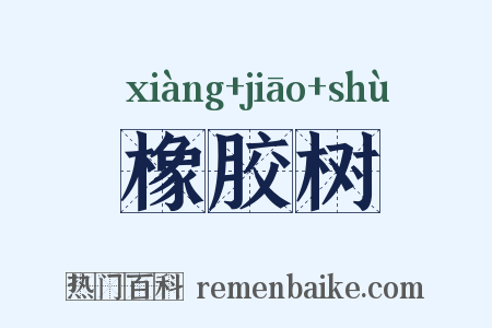 橡胶树是什么意思的图片